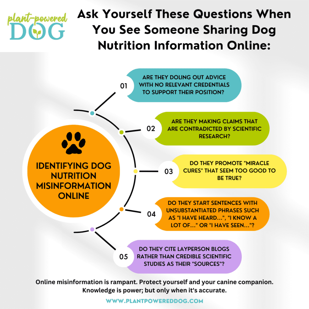 graphic of questions to ask when you see someone giving dog nutrition advice online