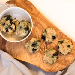 Blueberry Hemp Dog Treats