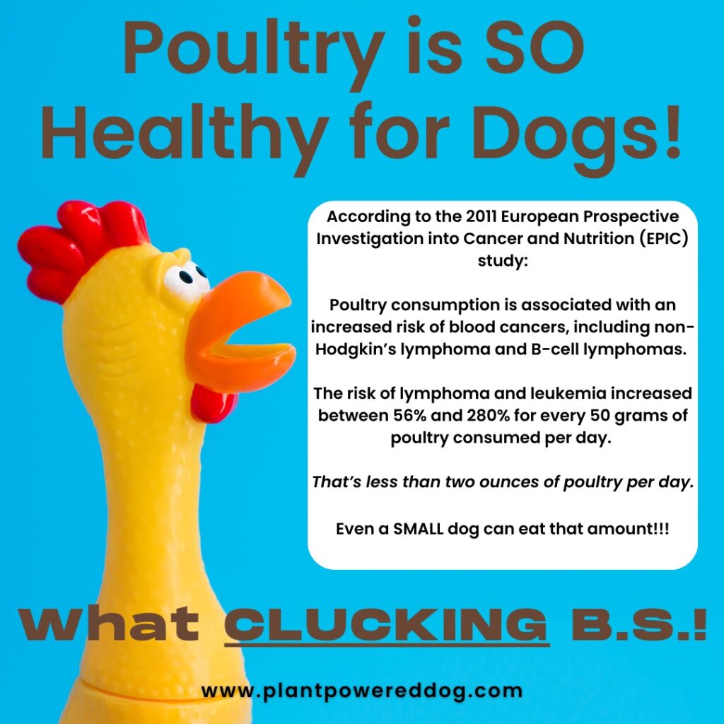 meme-poultry-linked-to-blood-cancers