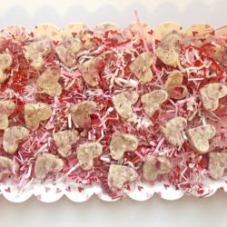 raspberry treats for dogs