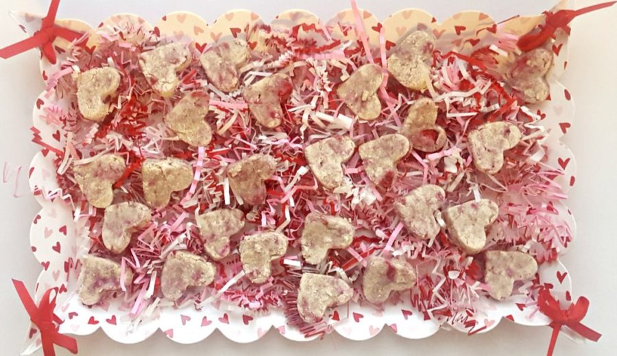 raspberry treats for dogs