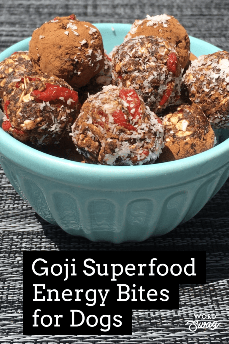 Goji Berries Energy Bites for Dogs PlantPowered Dog