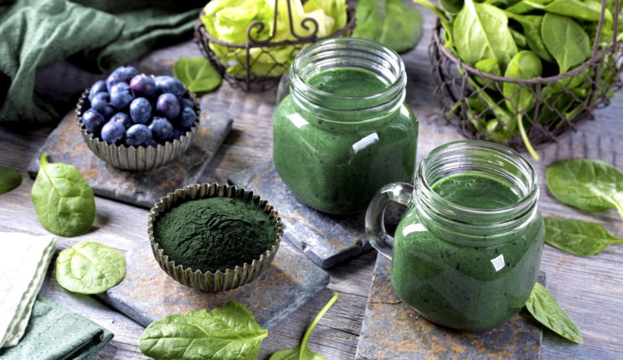 blueberries and dark green foods for dogs
